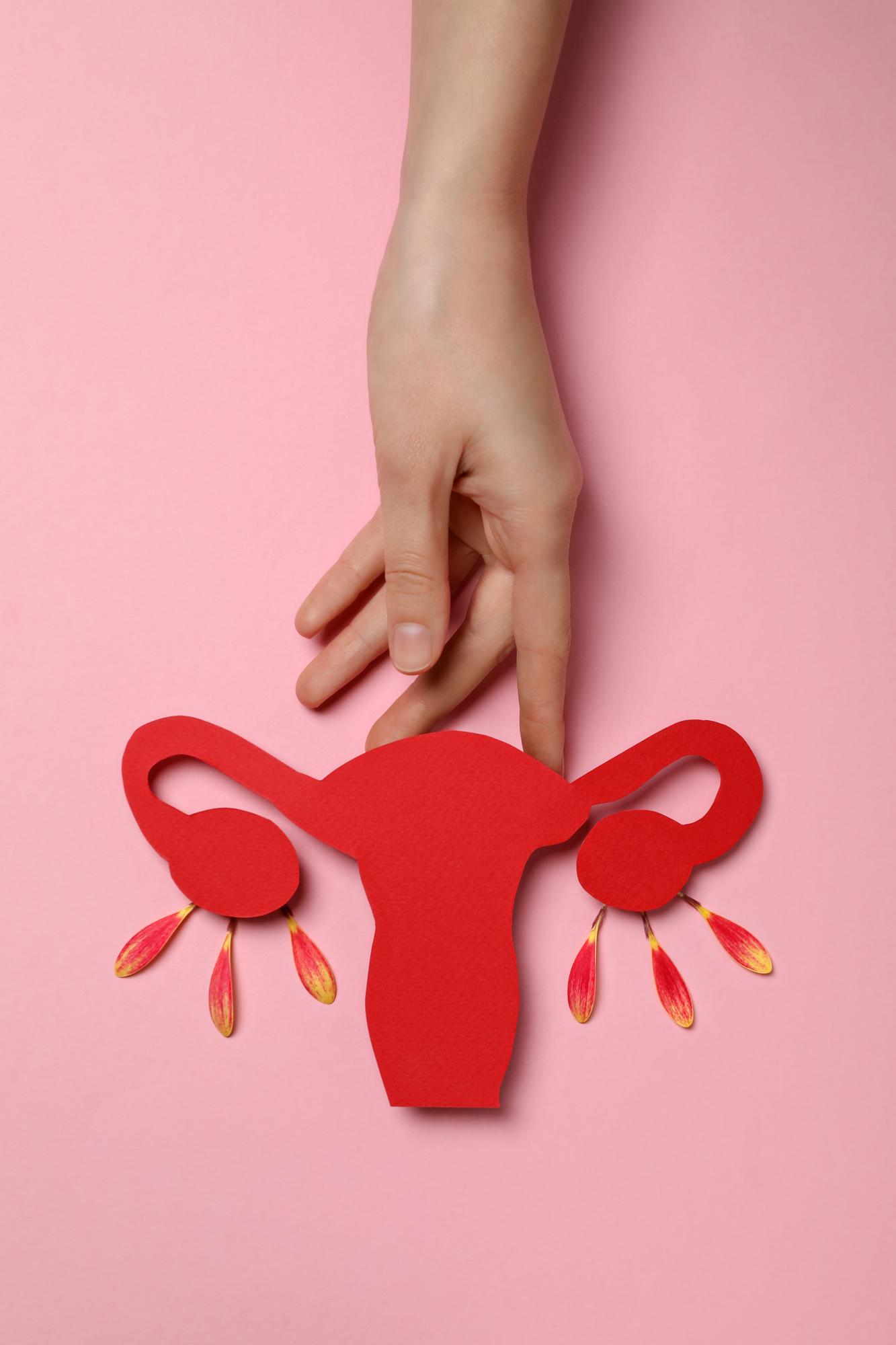 Everything You Need To Know About Endometriosis: Symptoms, Fertility and Pain Relief