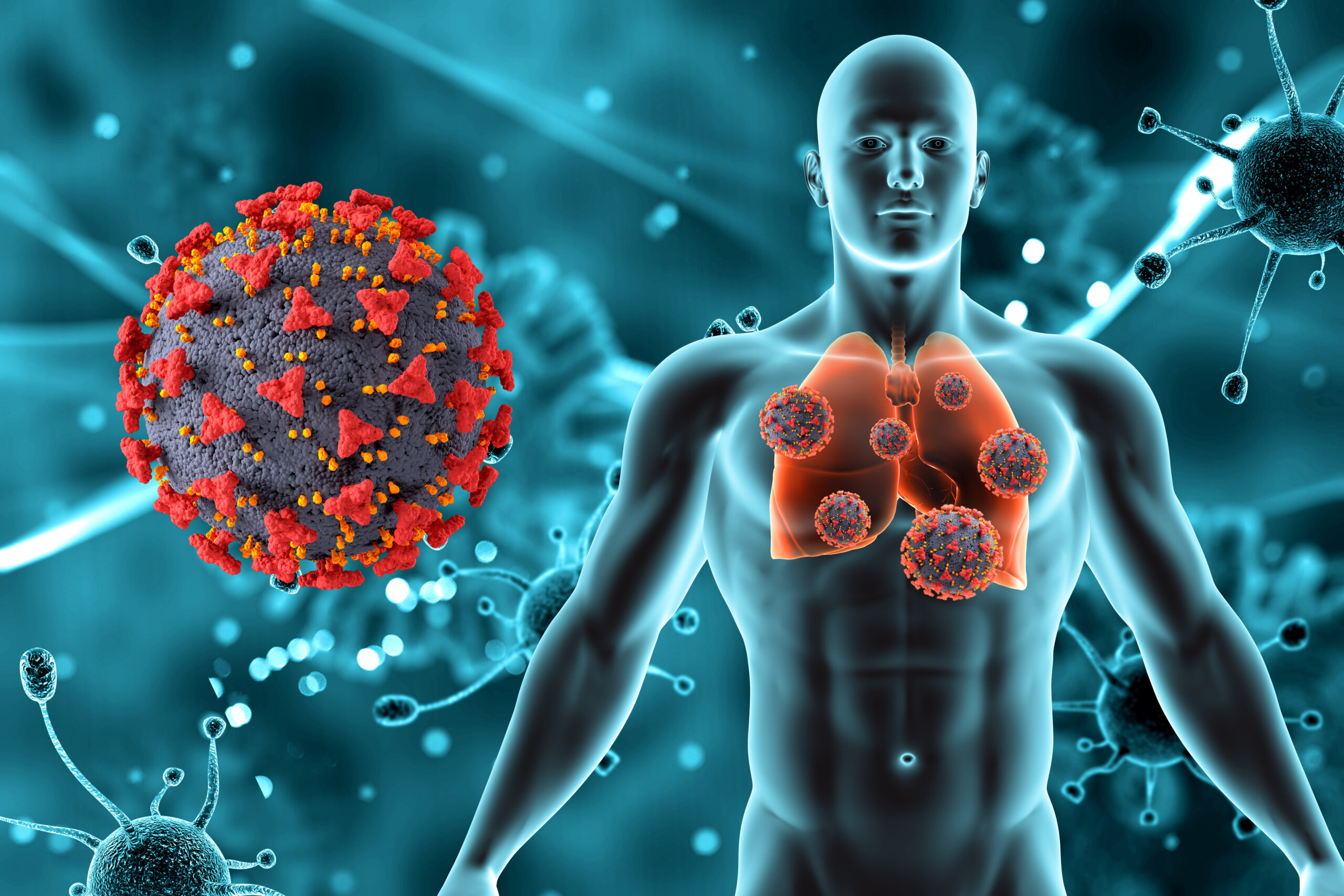 Best Diets for Managing Autoimmune Disease Symptoms